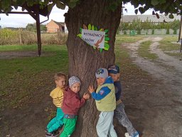 2025-09-18 Przytul się do drzewa